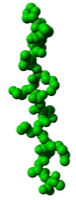 HLA-DR peptide