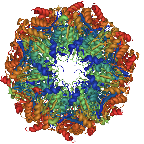 Proteasome end view
