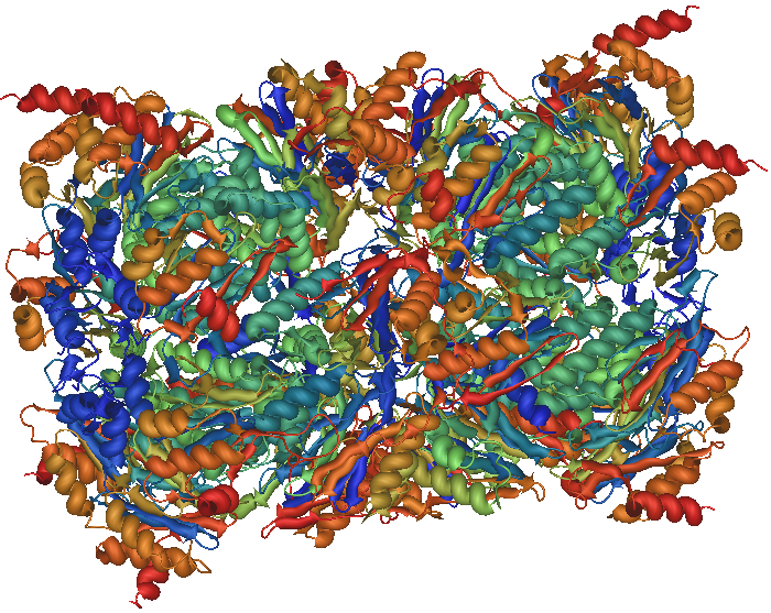 Proteasome side view